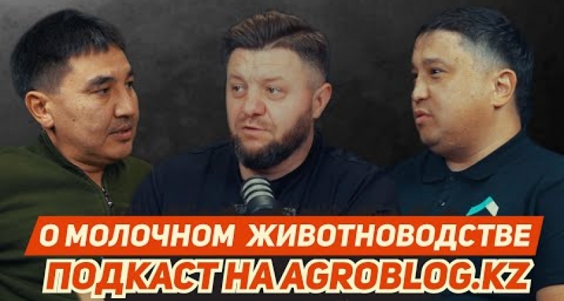 Embedded thumbnail for О молочном животноводстве в Казахстане