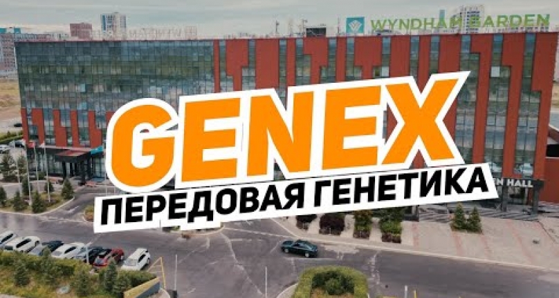 Embedded thumbnail for Передовая генетика для животноводства компании GENEX