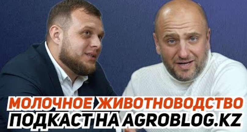 Embedded thumbnail for О молочном животноводстве!