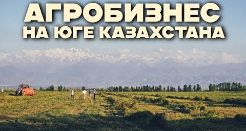 Embedded thumbnail for Как выращивают лук и свёклу на юге Казахстана и техника от компании Агромаркет!