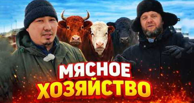 Embedded thumbnail for Мясное хозяйство ТОО &amp;quot;Жана Береке&amp;quot;