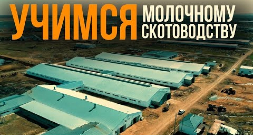 Embedded thumbnail for Учимся молочному скотоводству!