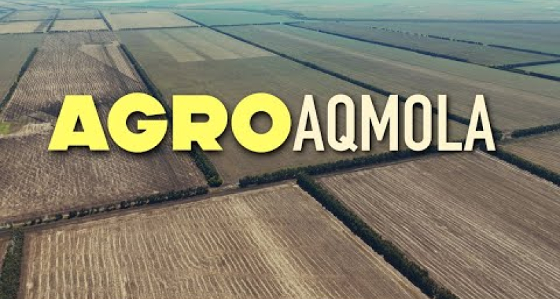 Embedded thumbnail for Что посеяли в Акмолинской области в сезоне 2025 года