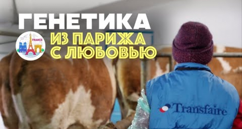 Embedded thumbnail for Новые горизонты и развитие французской генетики в Казахстане